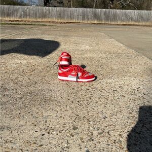 Nike Dunks